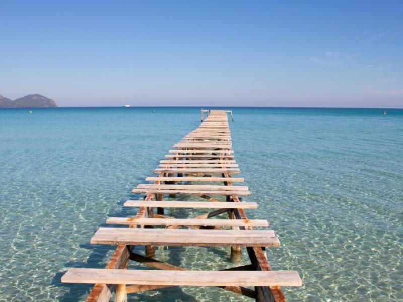 Die Top 10 nachhaltigsten Aktivitäten auf Mallorca im Jahr 2025