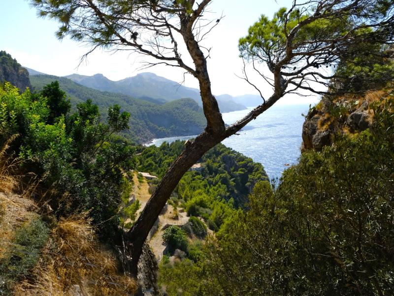 Leichte Wanderungen für Familien auf Mallorca: Belohnung inklusive